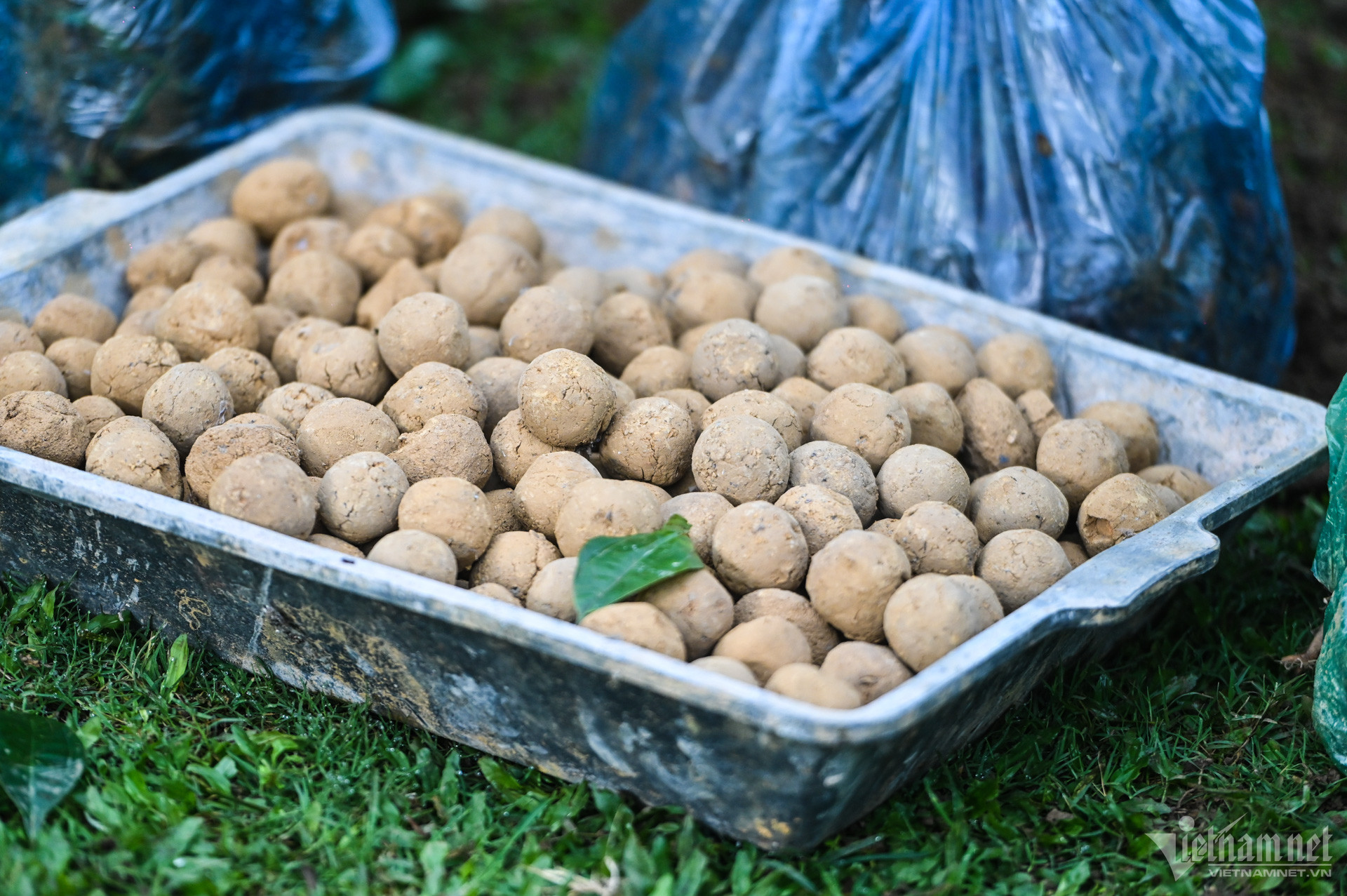 W-Trồng rừng Sơn La (1).jpg