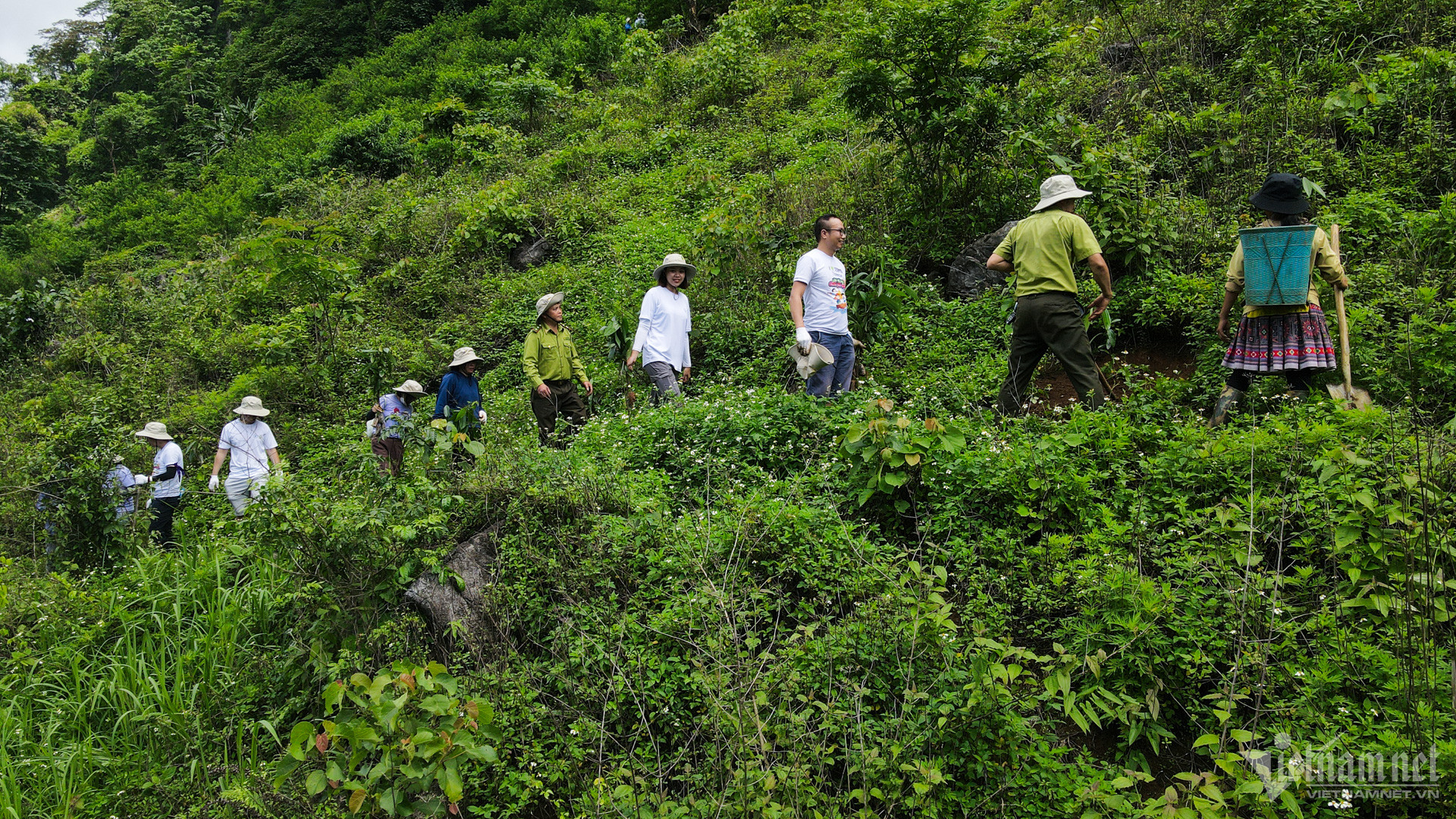 W-Trồng rừng Sơn La (15).jpg