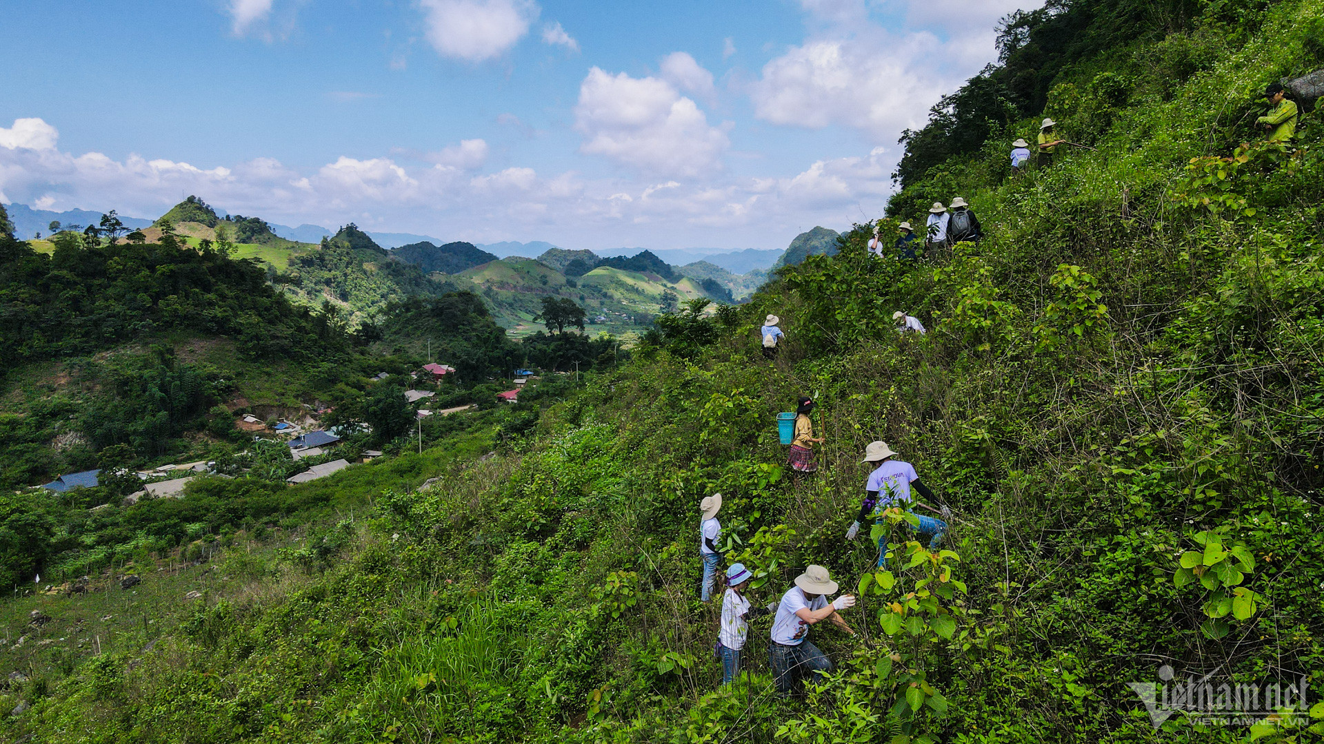 W-Trồng rừng Sơn La (16).jpg