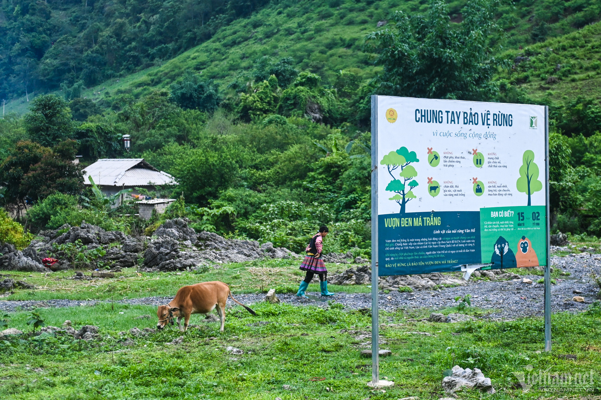 W-Trồng rừng Sơn La (17).jpg