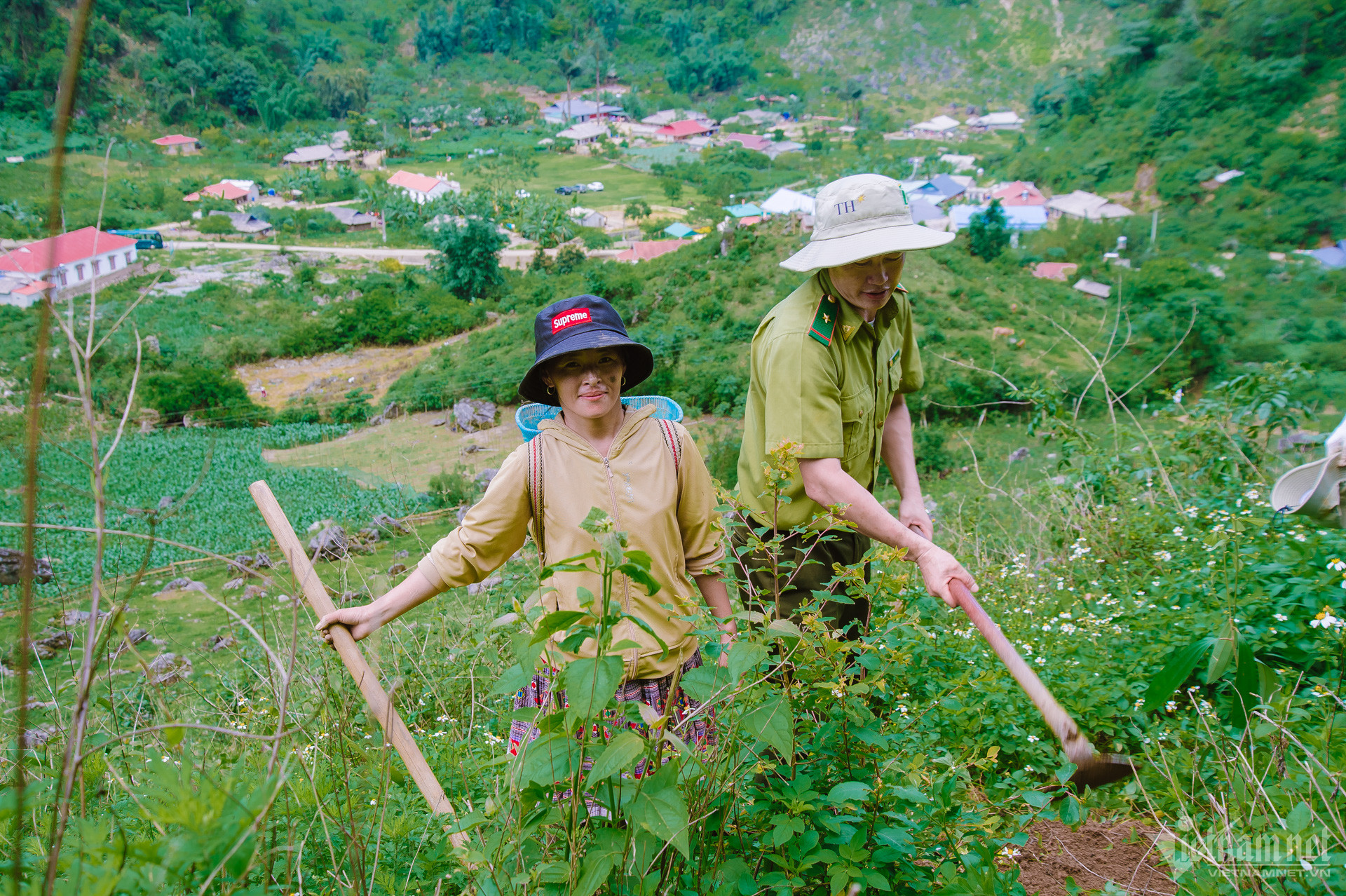 W-Trồng rừng Sơn La.jpg