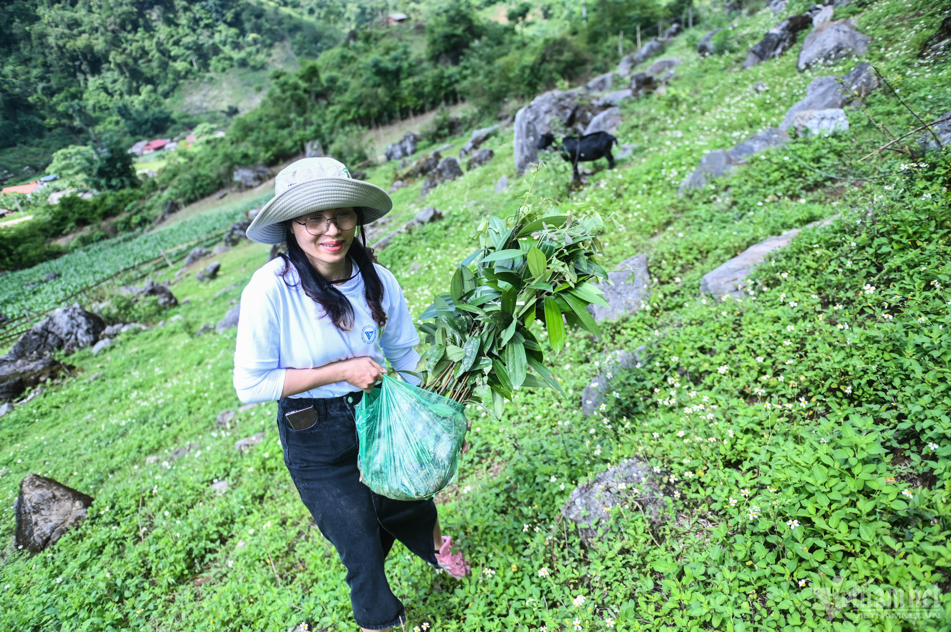 W-Trồng rừng Sơn La (4).jpg