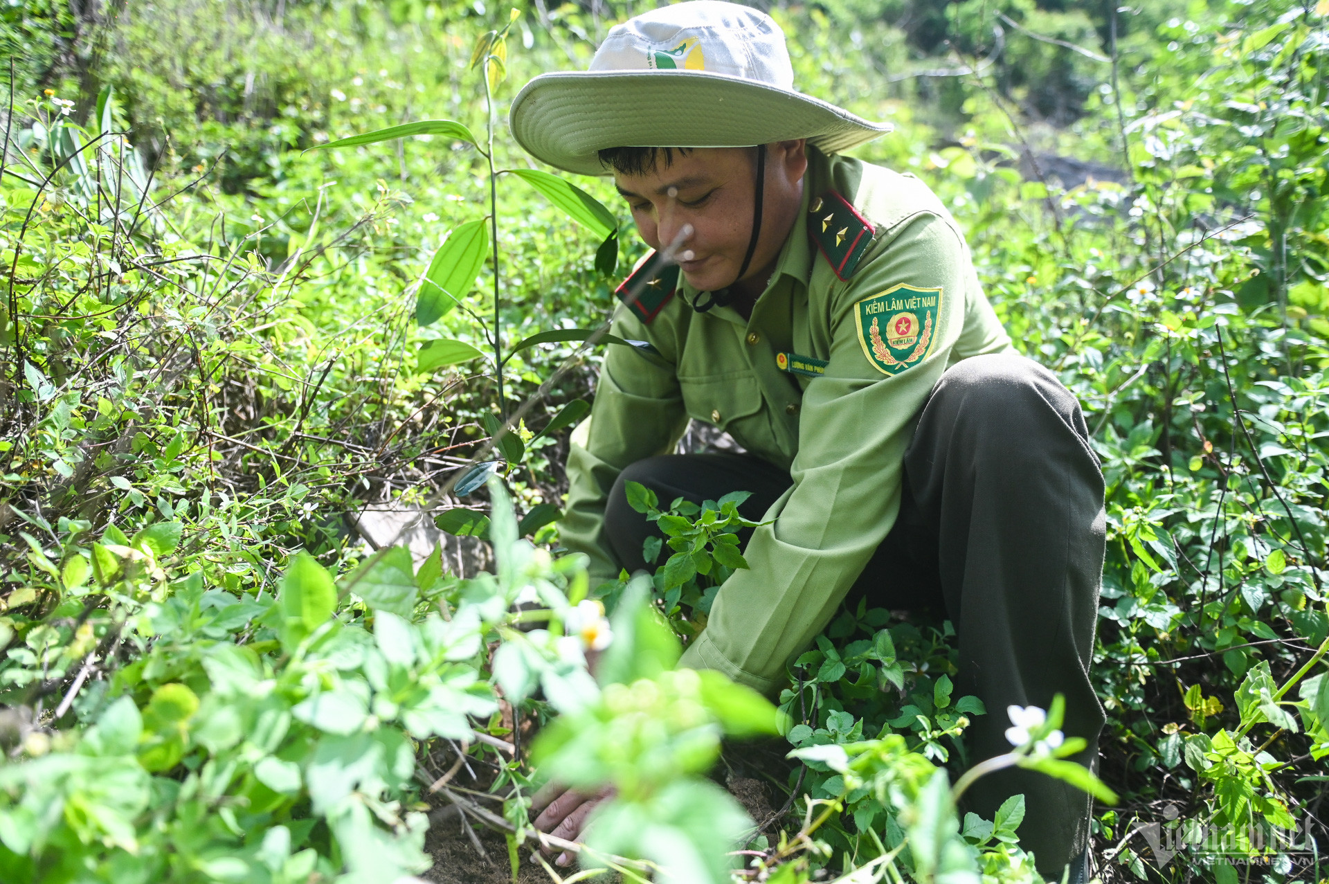 W-Trồng rừng Sơn La (5).jpg