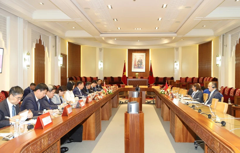 Đoàn đại biểu Đảng Cộng sản Việt Nam làm việc với Phó Chủ tịch Hạ viện Maroc Nadia Touhami. (Ảnh: Hồng Minh/TTXVN)