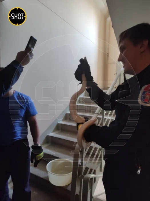 toilet snake 2405 2.jpg