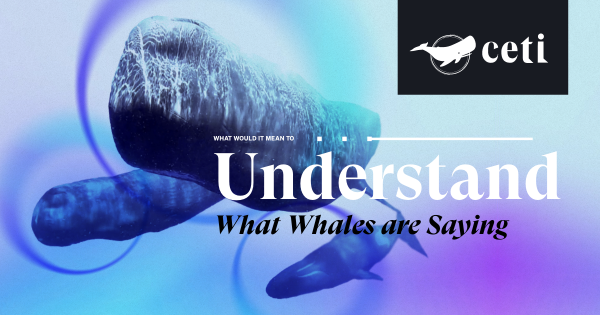 cá nhà táng 3.png