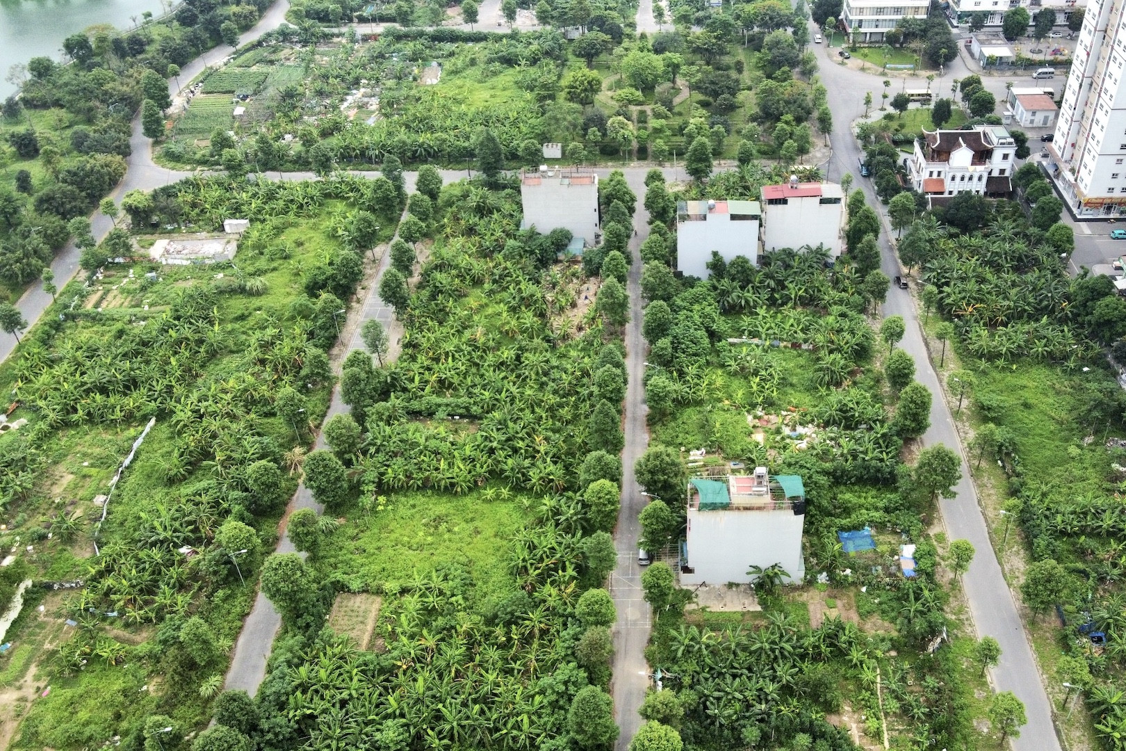 Cọc tiền tỷ mua liền kề ở Hà Nội, khách phát hiện chủ đầu tư tự ý 'xé' quy hoạch