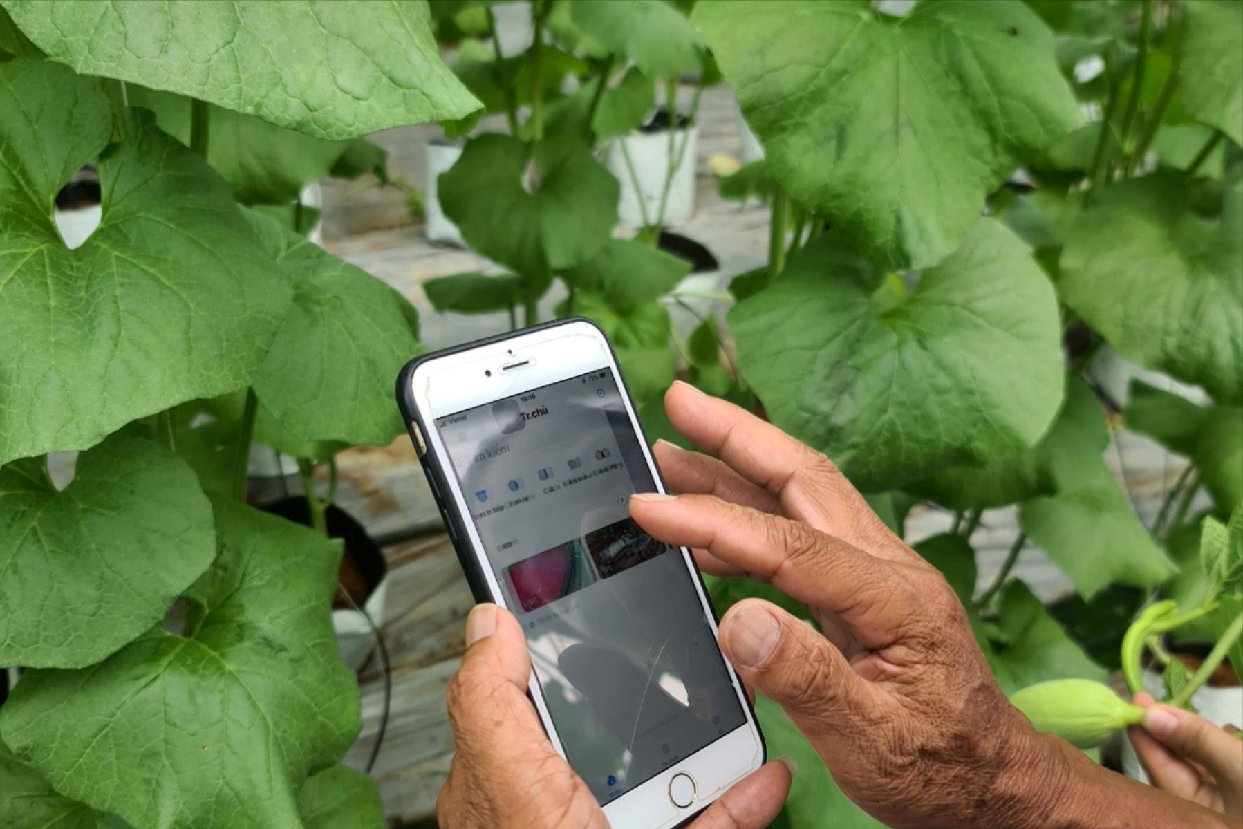 Hải Dương phấn đấu 90% hồ sơ công việc cấp tỉnh được xử lý trên môi trường mạng