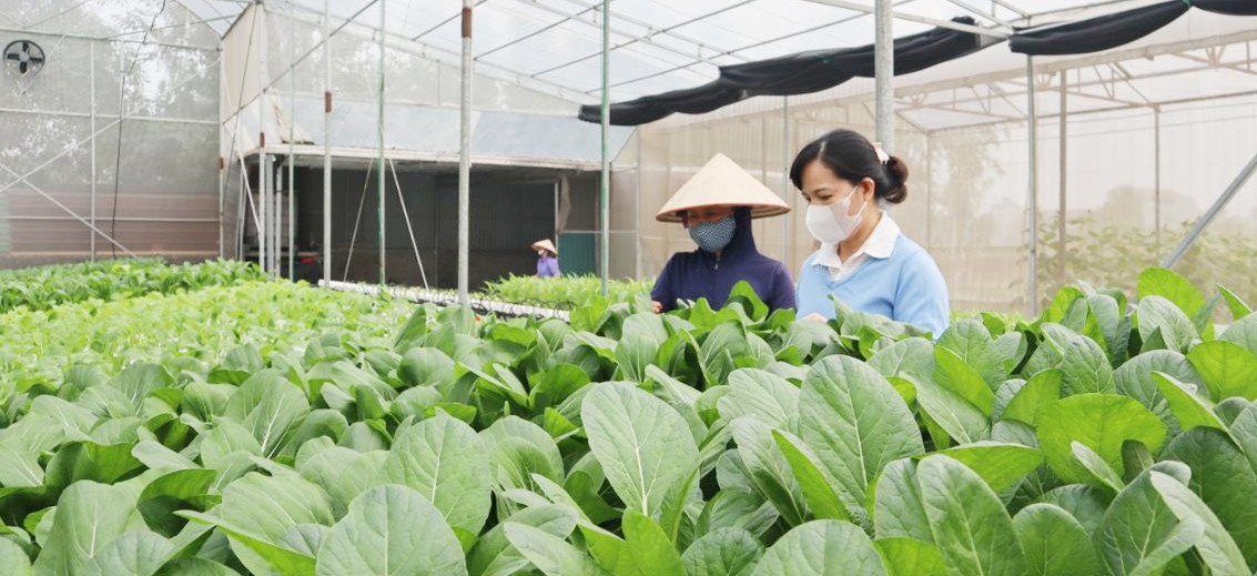 Nhiều giải pháp chuyển đổi số để hướng đến nông thôn giàu mạnh, văn minh