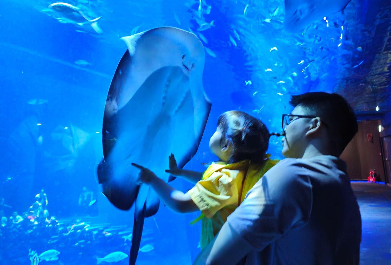 Trải nghiệm mùa hè tuyệt vời tại Thủy cung Lotte World Hà Nội