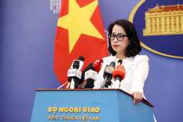 Yêu cầu Trung Quốc chấm dứt việc tàu Hải Dương 26 khảo sát trái phép