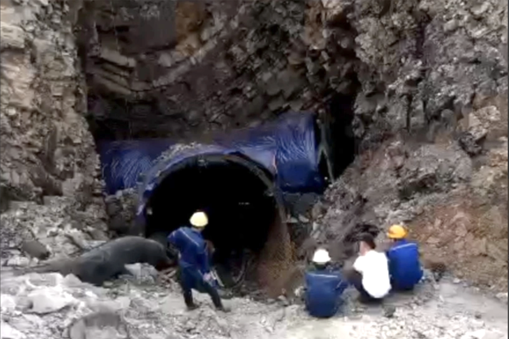 Ảnh chụp Màn hình 2024 06 07 lúc 09.31.24.png