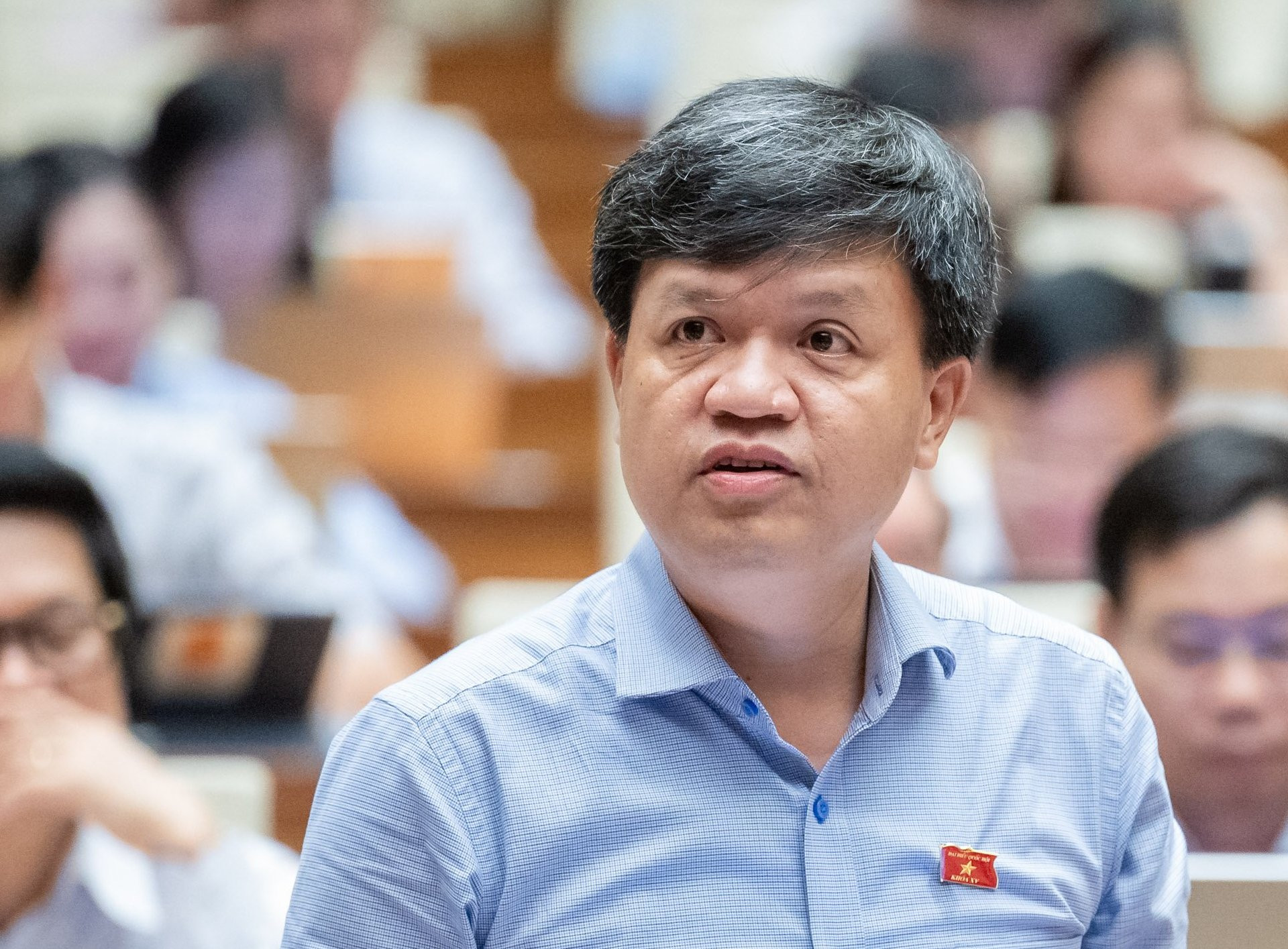 Tạ Đình Thi .jpg