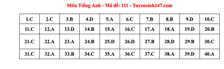 Đề thi và đáp án gợi ý vào lớp 10 Hà Nội năm 2024