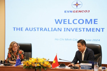 Phái đoàn đầu tư Australia thăm và làm việc với EVNGENCO3