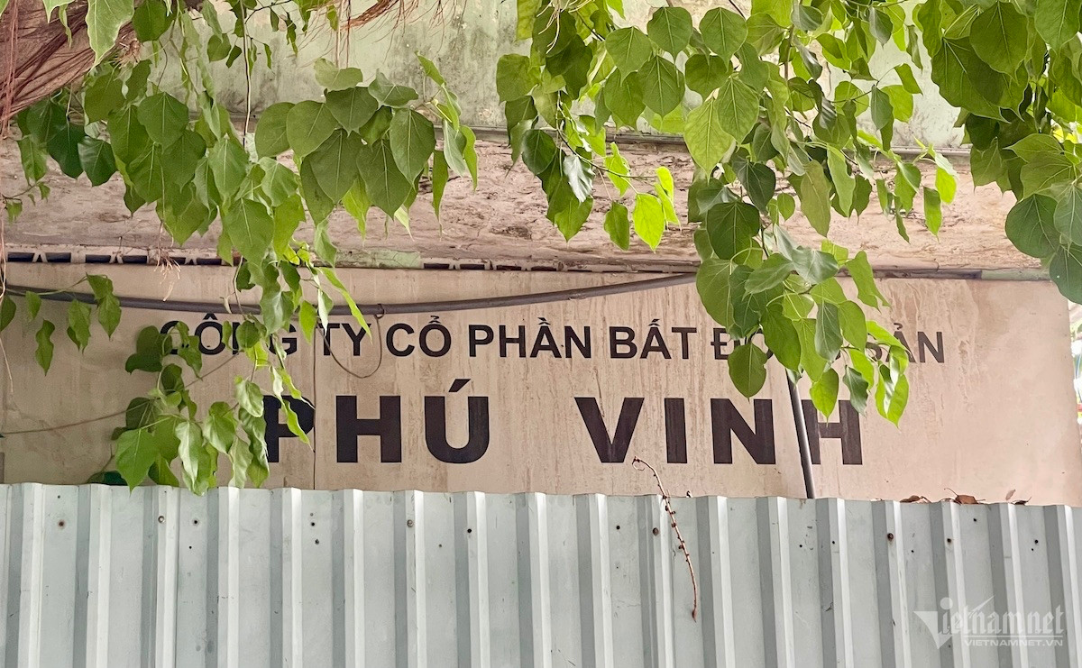 W-vạn thịnh phát 2.jpg