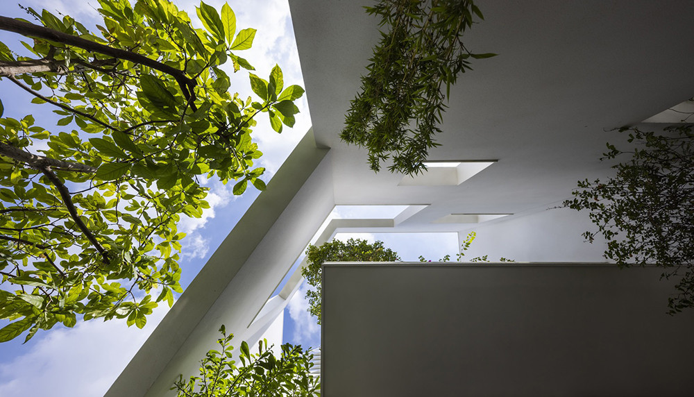 Tỷ lệ cây xanh khá nhiều, biến ngôi nhà như một rừng nhiệt đới.
