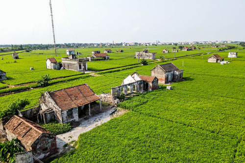 Sức sống hồi sinh ở nơi 60 hộ dân Nam Định bị 'xoá sổ' sau một cơn bão