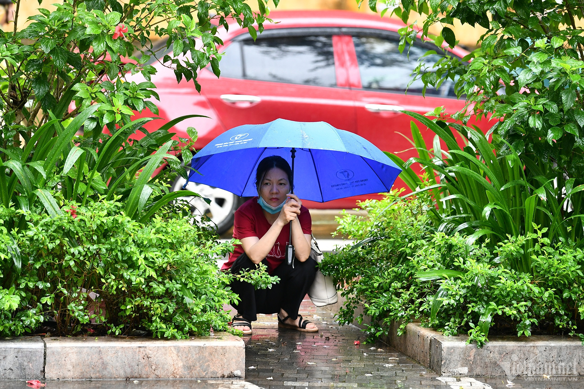 Mưa phùn ngày thi, cha mẹ xôn xao ngóng chờ con ngoài cổng trường