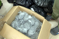 Bản tin trưa 1/7: Bắt 4 đối tượng vận chuyển 179kg ma túy qua sân bay Nội Bài