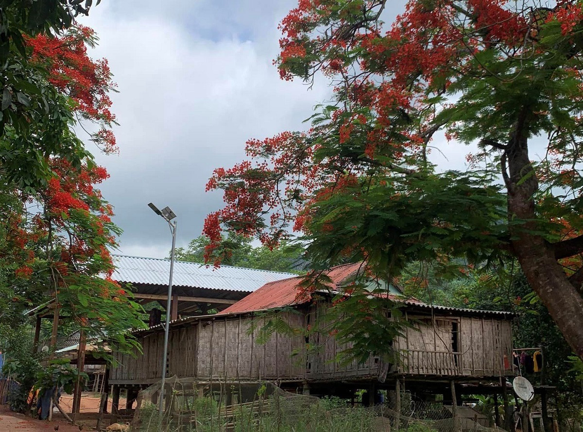 Ảnh 2: Chương trình mục tiêu quốc gia giảm nghèo bền vững góp phần làm thay đổi diện mạo nhiều vùng đồng bào dân tộc thiểu số, miền núi.