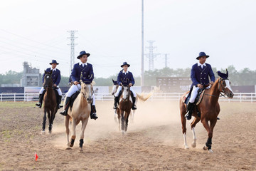 Cơ hội tận hưởng đặc quyền ở Học viện cưỡi ngựa Vinpearl Horse Academy