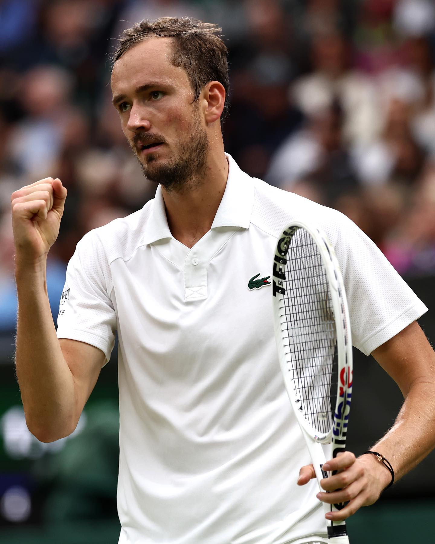 Daniil Medvedev 2.jpg