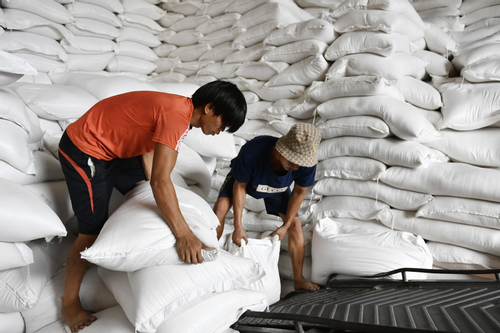 Gạo Việt xuất khẩu sang Indonesia: Cảnh báo tình huống xấu có thể xảy ra