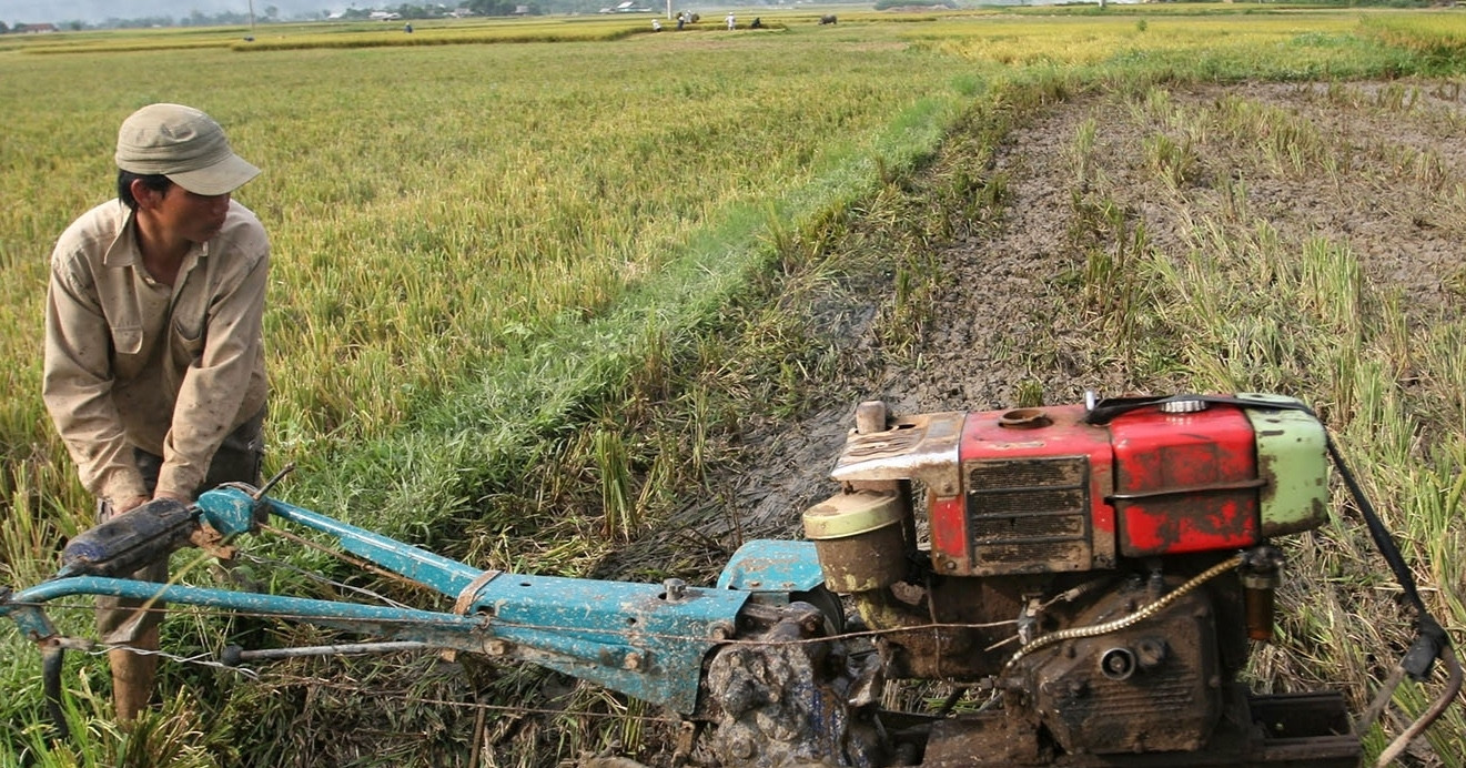 hoc mon giai quyet hon 3000 viec lam cho lao dong nong nghiep 748.jpg