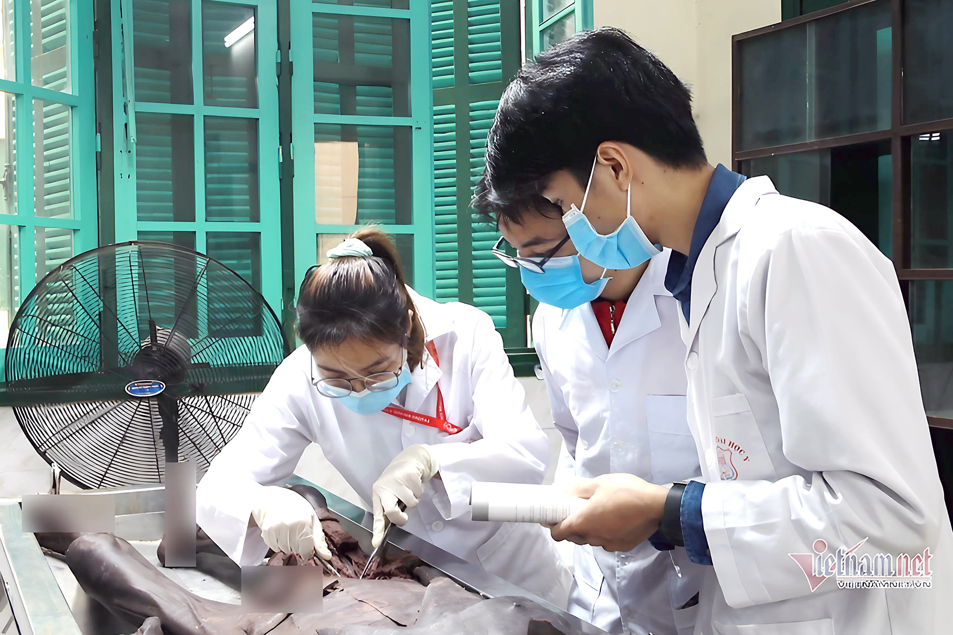 IMG_DE3EFAEF3C1D 1.jpg