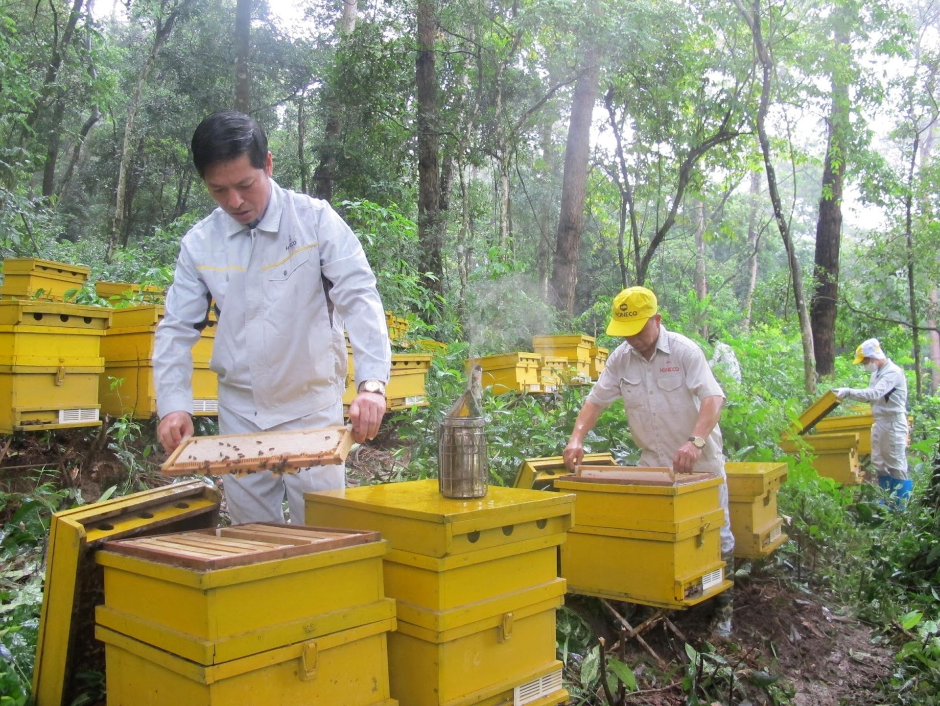 1 Set làm Thumbnail.jpg