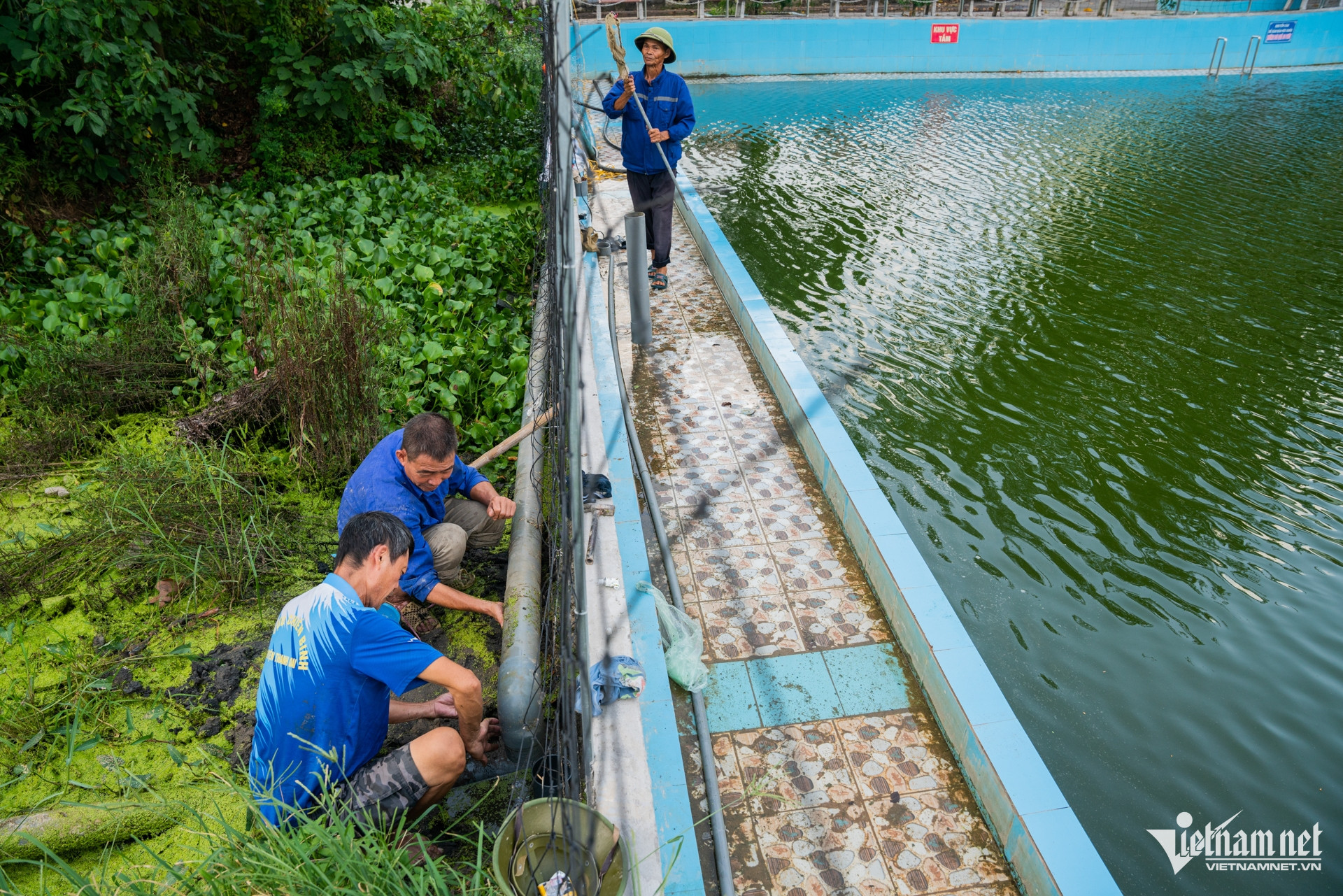 W-tập bơi, Thanh Oai.jpg