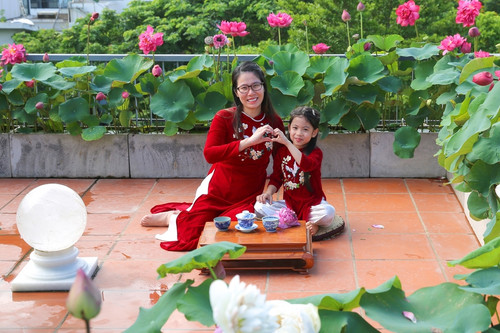 Mẹ đảm làm vườn sen ‘lười’ trên sân thượng, trồng một lần ngắm vài năm ở Hà Nội