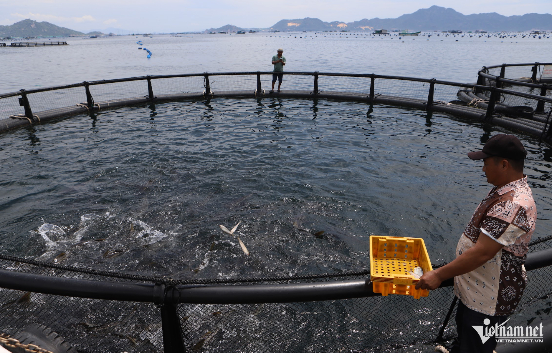 W-nuôi biển 1.png