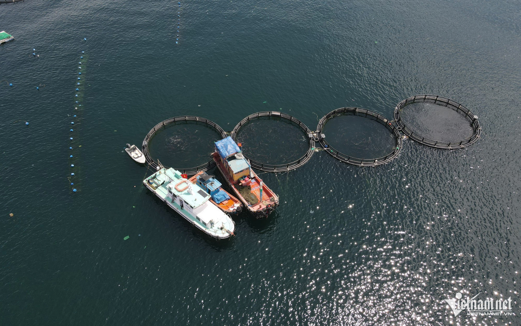 W-nuôi biển 1.png