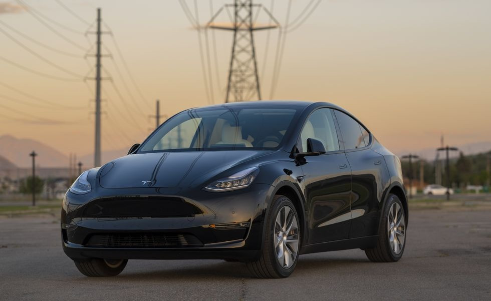 4 tesla model y with powerline roy.jpeg