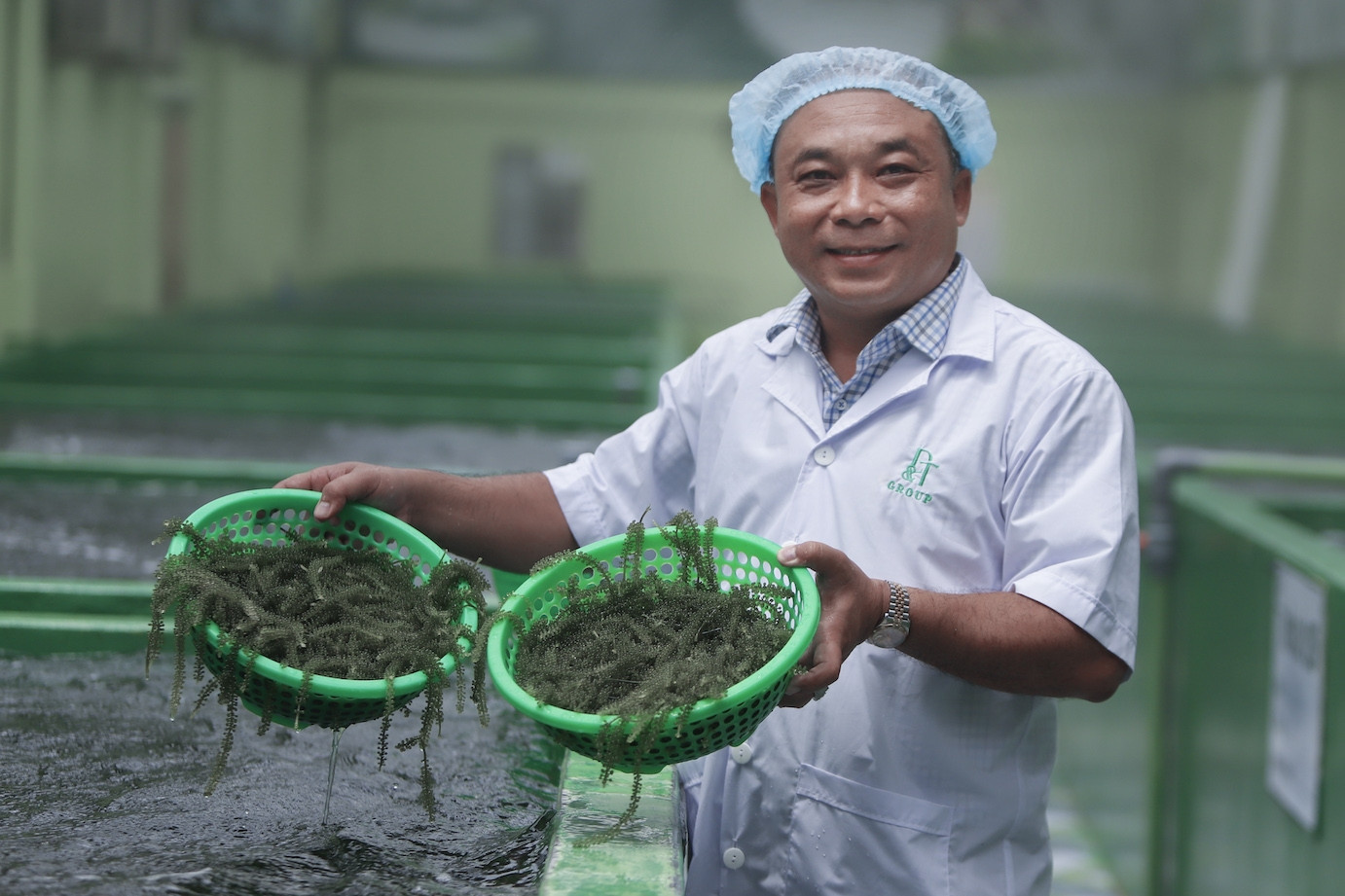 Làm giàu từ siêu thực phẩm 'rớt tới đâu, biển sạch đến đó'