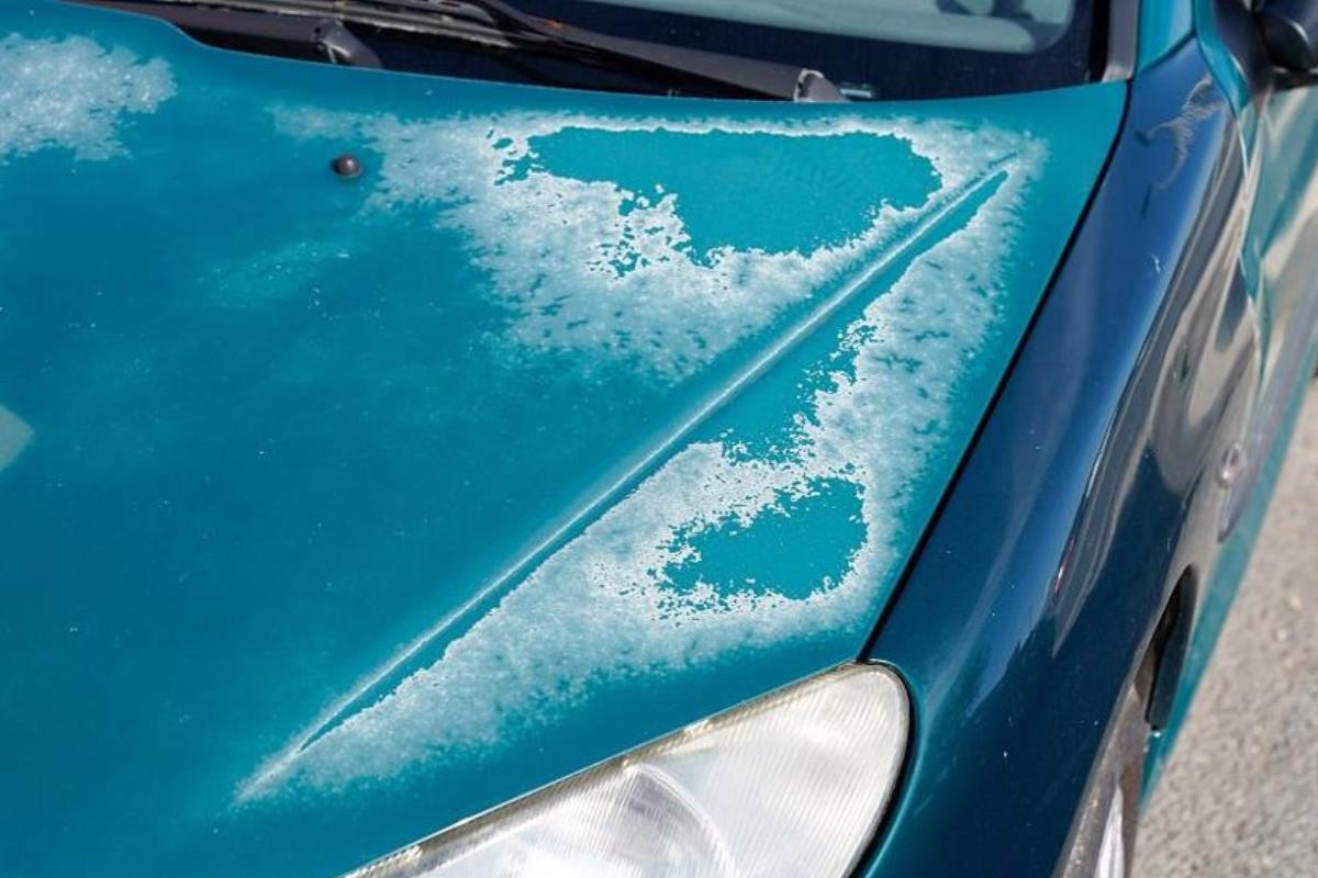 lop son xe bi bac mau used car viet han.jpeg