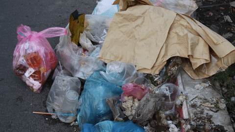TPHCM: Nhức nhối nạn đổ trộm rác thải trên đường Nguyễn Hữu Cảnh, Trường Sa