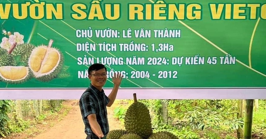 vietnamnet.vn