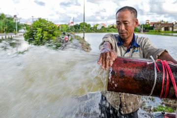 37.000ha lúa mùa ngập sâu do mưa lớn, nông dân Nam Định điêu đứng