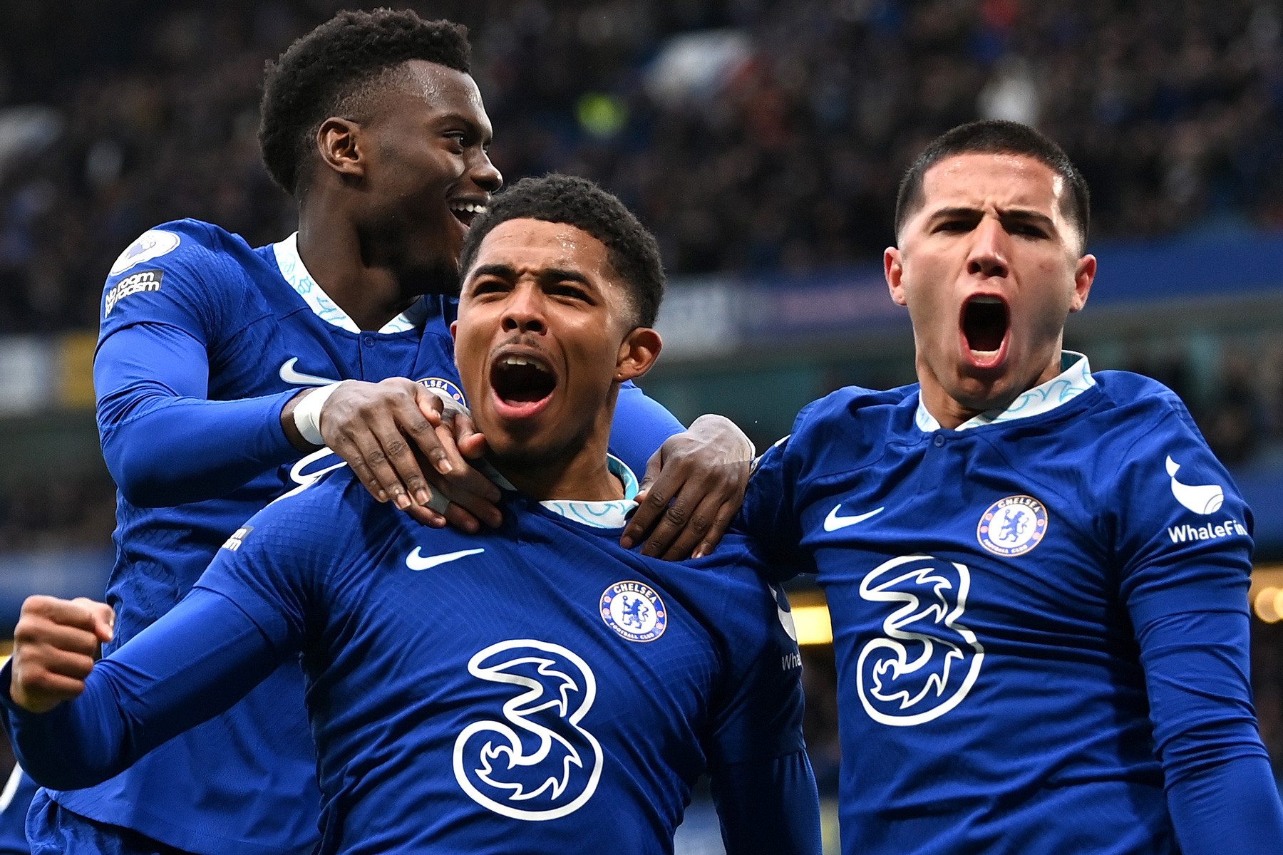 Fofana Enzo Fernandez Badiashile Chelsea.jpg