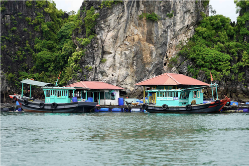 Quảng Ninh dừng cấp phép phương tiện thủy ra khơi trước bão số 2