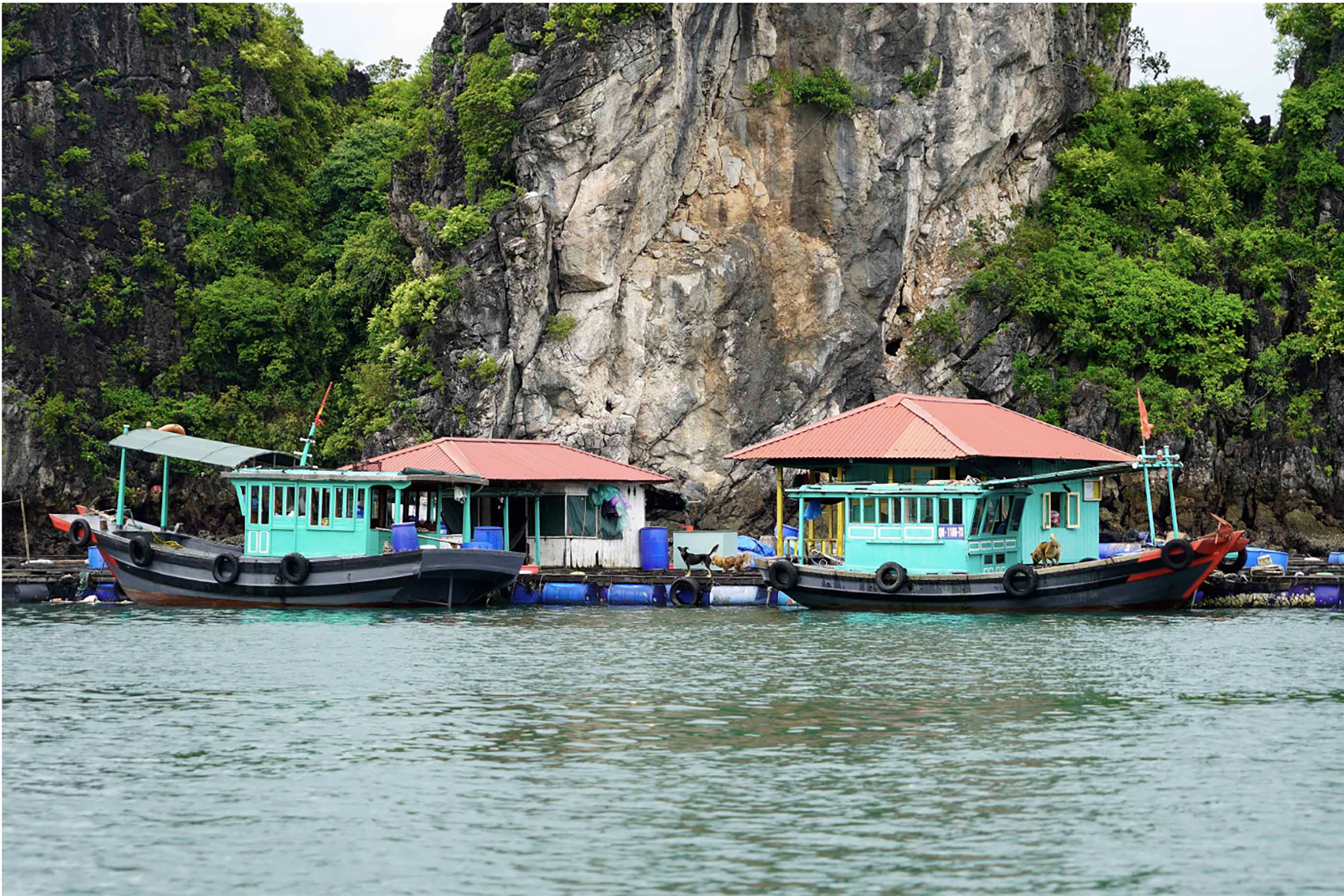 Quảng Ninh dừng cấp phép phương tiện thủy ra khơi trước bão số 2