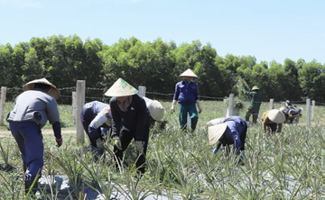 Kỳ Tân đa dạng mô hình kinh tế, nỗ lực về đích nông thôn mới nâng cao