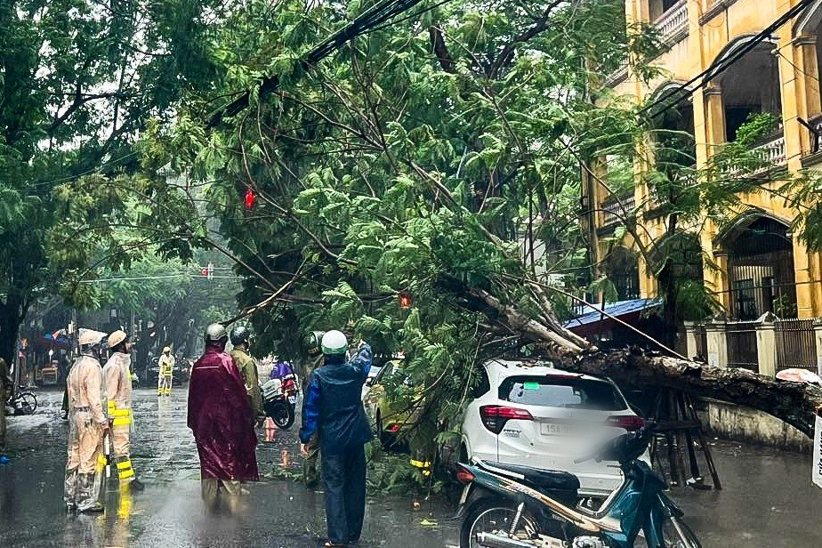 Bão số 2 quật đổ hàng loạt cây xanh ở Hải Phòng