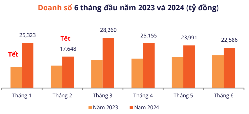 doanh so tmdt 2024.png