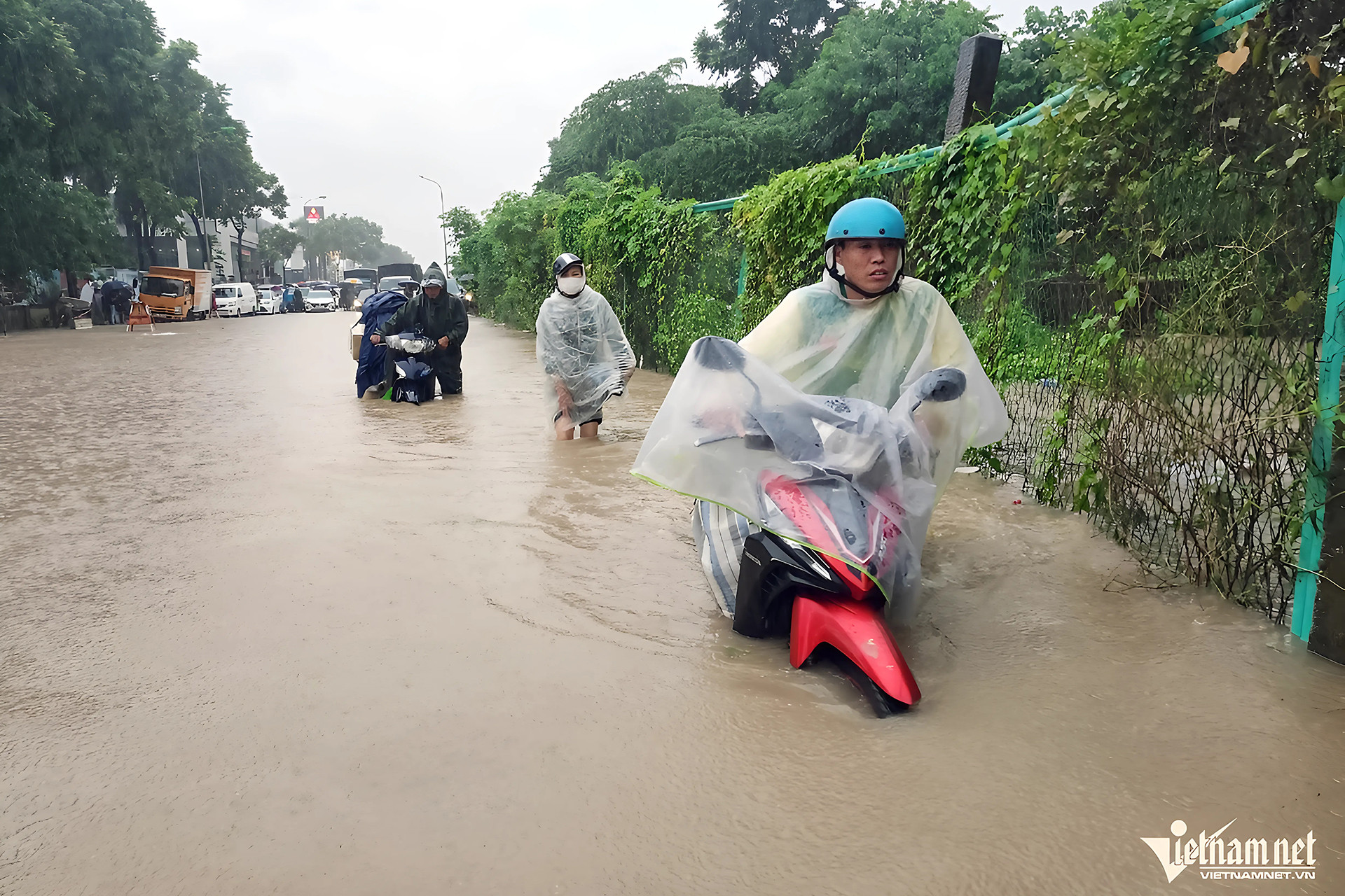 IMG_2750CEAB6CB6 1.jpg