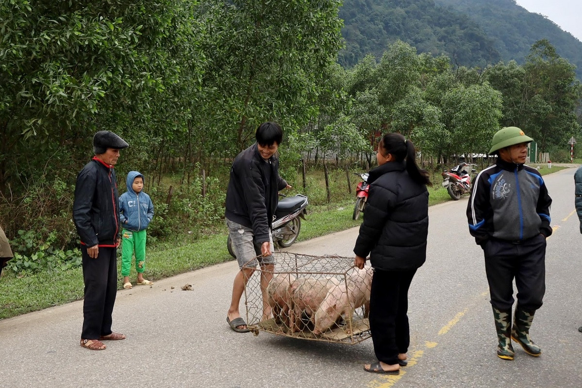 Tín dụng chính sách đồng hành cùng đồng bào dân tộc thiểu số thoát nghèo