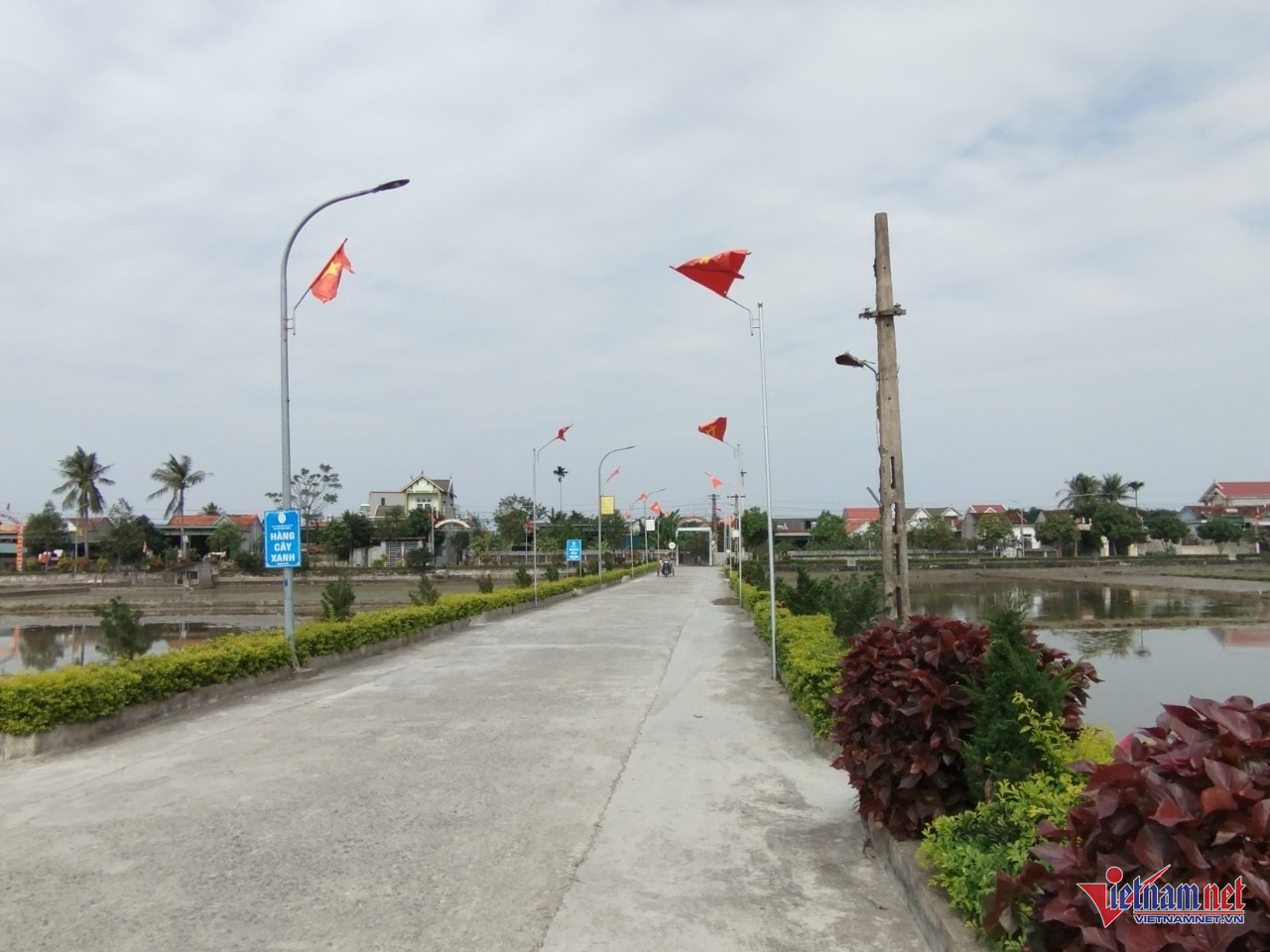 W-hàng cây xanh used.jpg